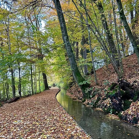 Апартаменты David Ochsenhausen